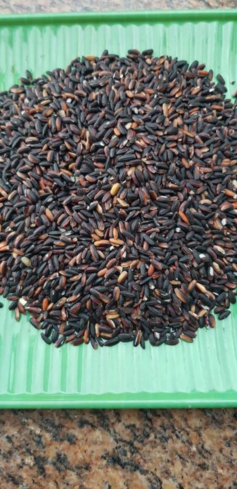 banh-chung-nep-cam-vi-nui-rung-giua-long-tp-hcm2