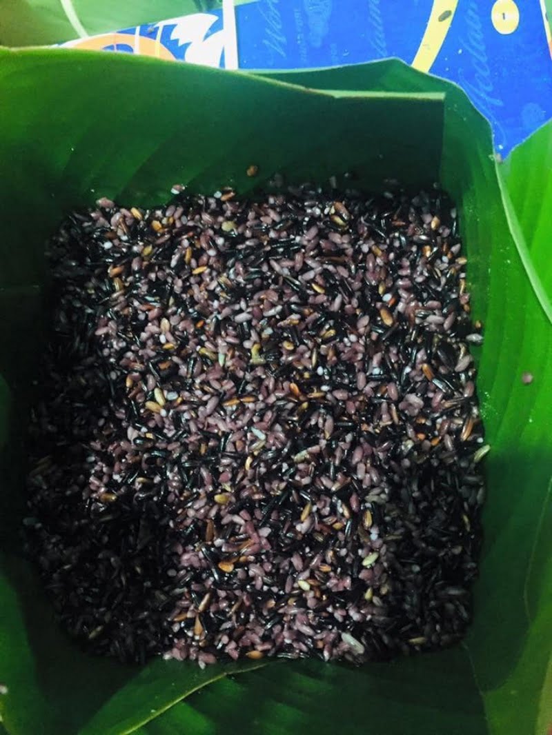banh-chung-nep-cam-vi-nui-rung-giua-long-tp-hcm6