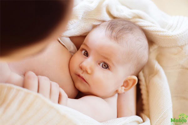 Mẹ sử dụng sữa công thức sớm cũng làm mất sữa