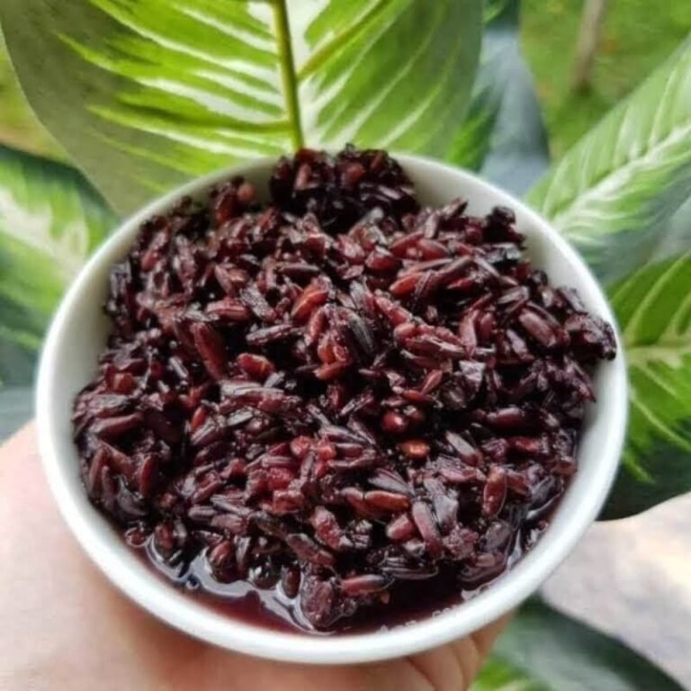 Cơm rượu nếp cẩm của Nếp Cẩm Mộc