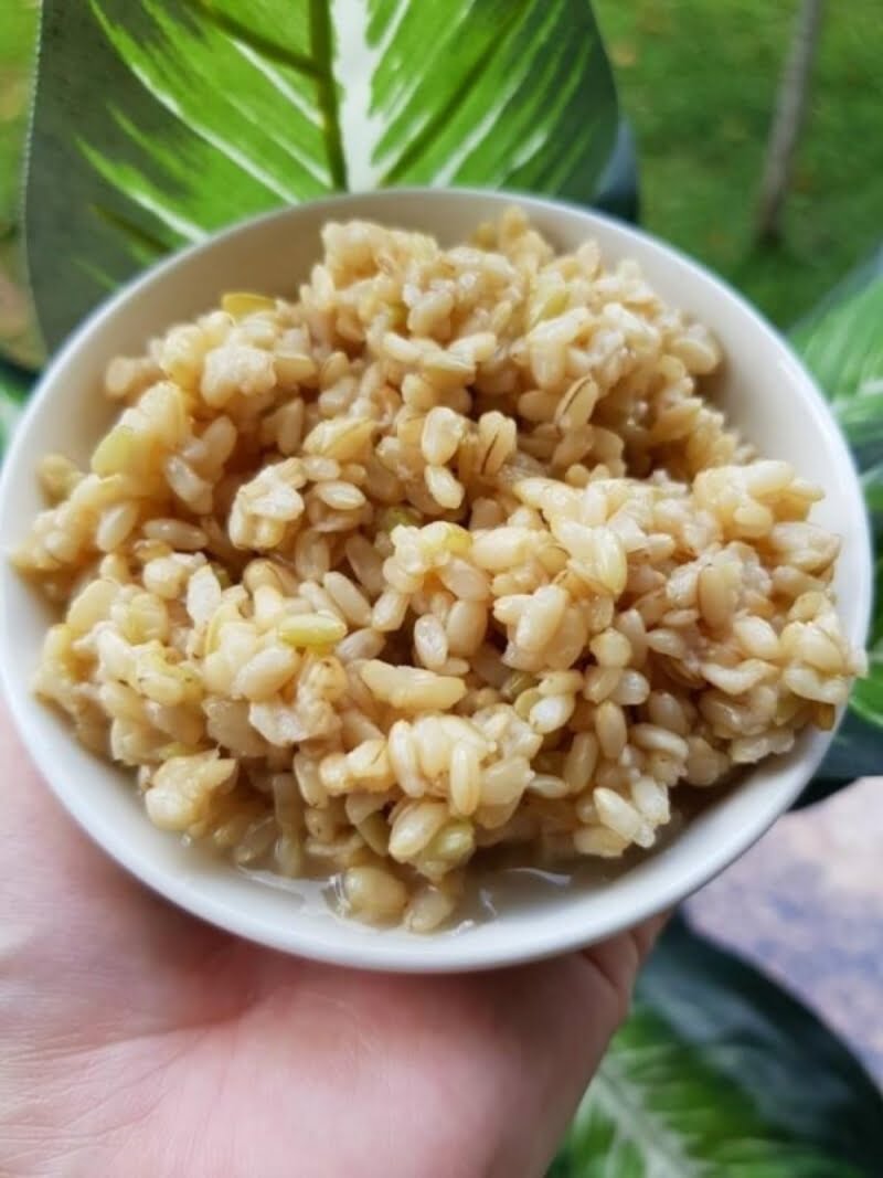 Một bát cơm rượu đạt chuẩn khi nó có vị thơm nồng, ngọt ngào