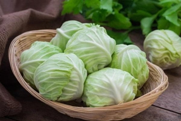 Ăn bắp cải có thể khiến mẹ bị mất sữa