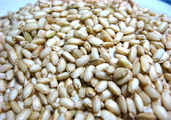 Muốn nấu cơm rượu ngon phải có gạo ngon