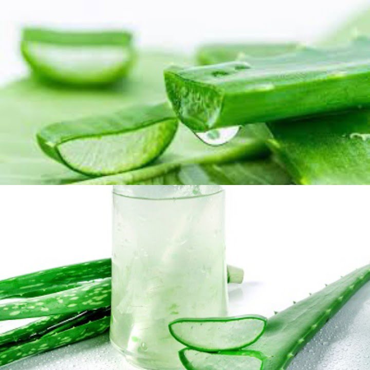 Nha đam giúp sản sinh Collagen, thế nên rất tốt cho sức khỏe và giúp nuôi dưỡng làn da tươi trẻ