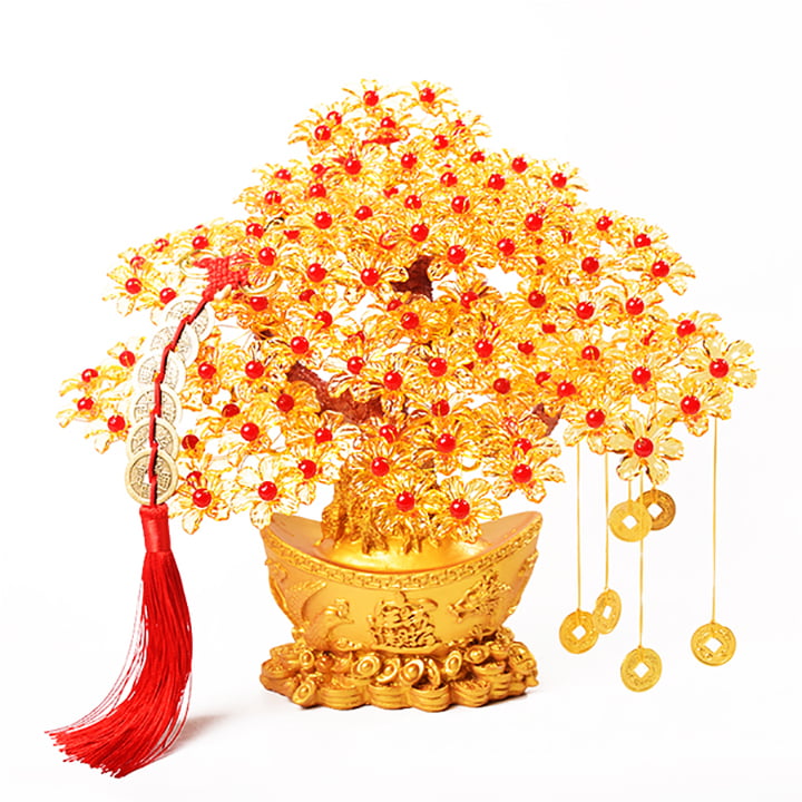 Kinh doanh cây kim tiền cũng là ý tưởng không tồi