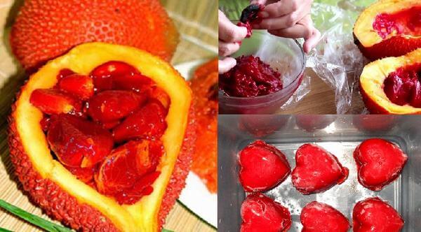 Có 4 cách bảo quản gấc được lâu