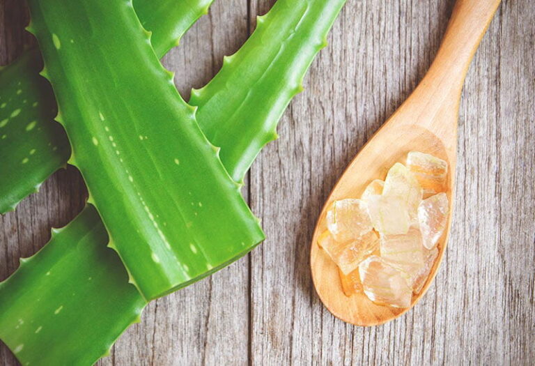 Nha đam được sử dụng để chăm sóc da với công dụng dưỡng ẩm, ngăn ngừa các dấu hiệu lão hóa