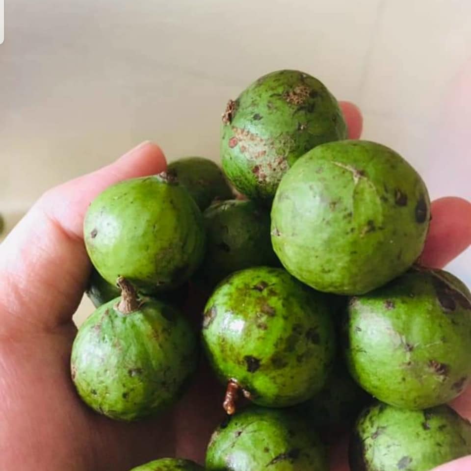 si-sau-ngam-duong-de-lam-nuoc-sau-ha-noi1