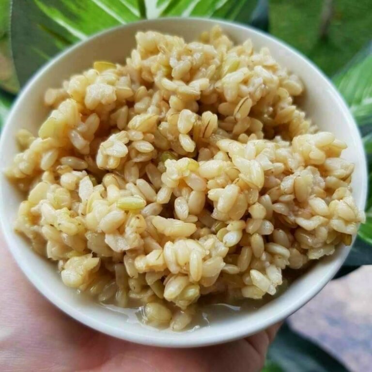 cơm rượu nếp