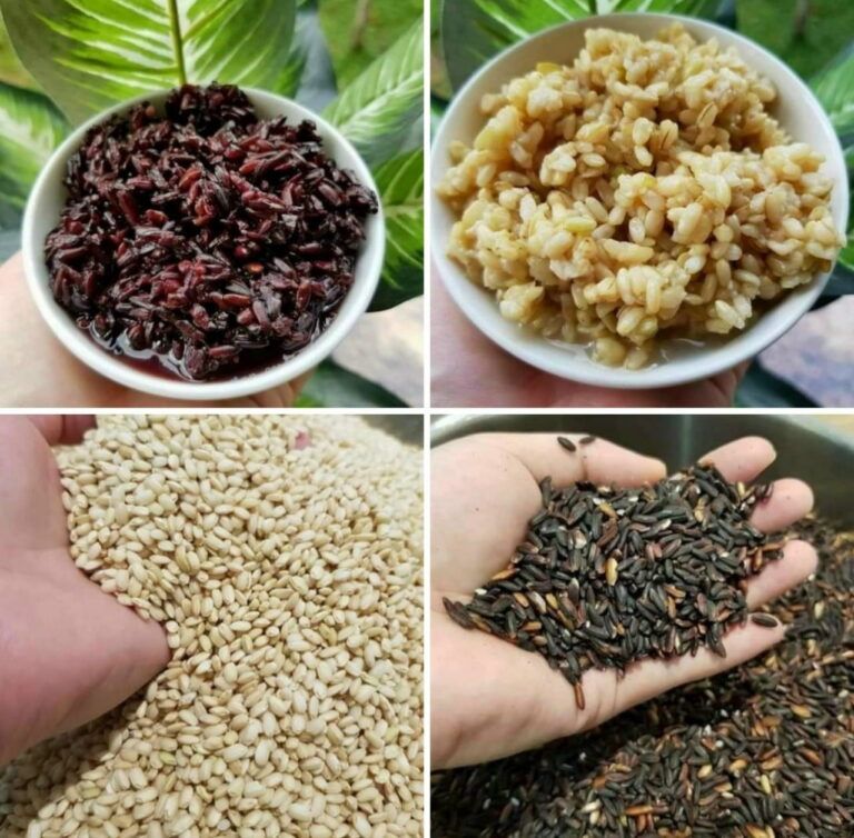 cơm rượu