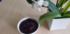 làm sữa chua nếp cẩm