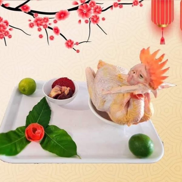 mua gà cúng ở TPHCM