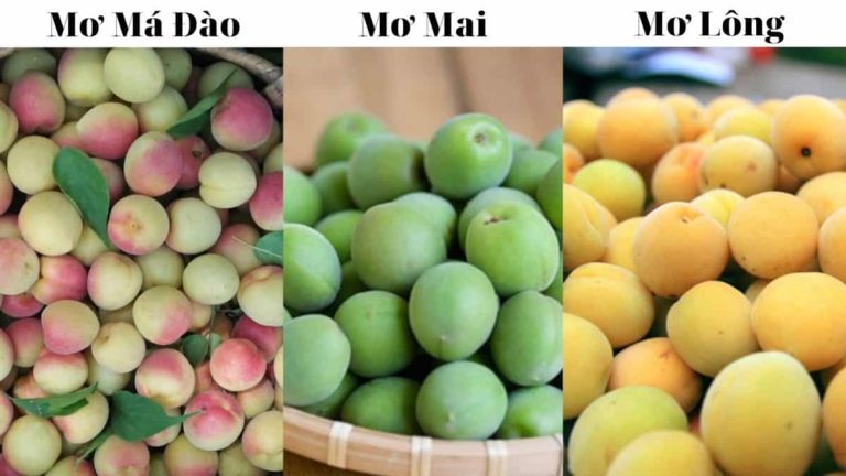 mùa mơ tháng mấy